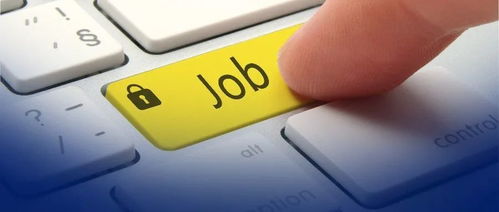 自學(xué)編程與科班出身差異何在？網(wǎng)友直呼“說到心坎里”